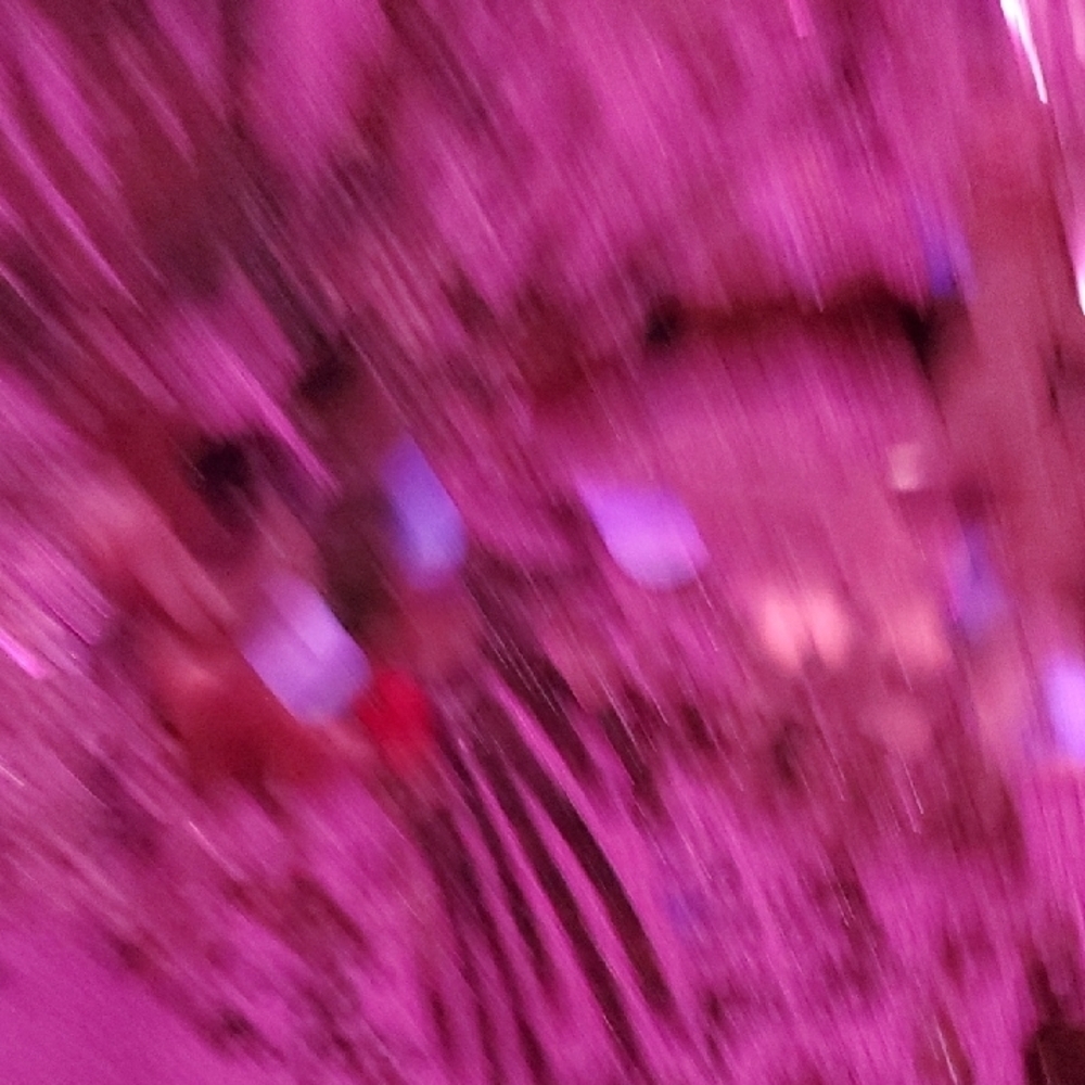 Chico's Magenta Sequin Floral Rayon Blend Blouse - Picture 4 of 8